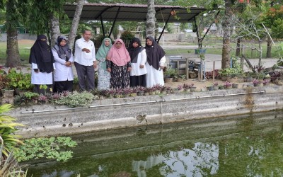 Lanjutkan Kembali Program Madrasah Inovasi Kewirausahaan, MTsN 2 Aceh Timur Kembali Budidaya Ikan Lele